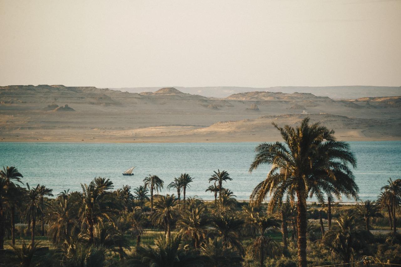 FAJJÚM
